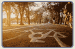 Cycle route