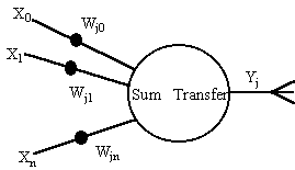 A neuron